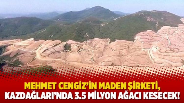 Mehmet Cengiz’in maden şirketi, Kazdağları’nda 3.5 milyon ağacı kesecek!