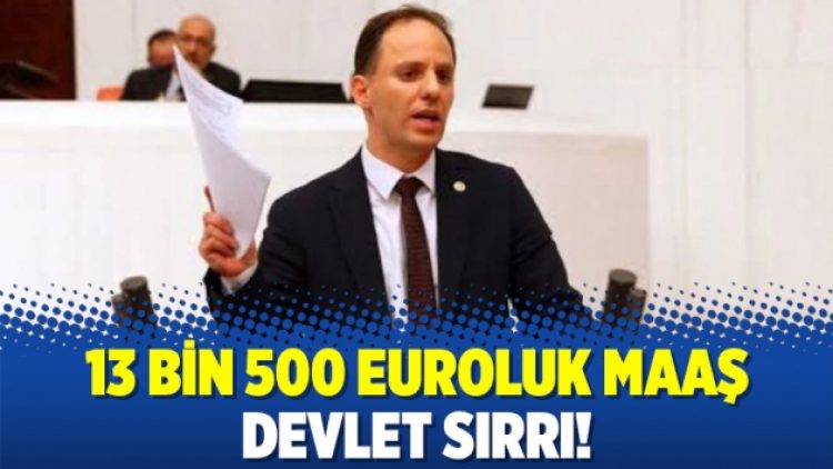 13 bin 500 euroluk maaş devlet sırrı!