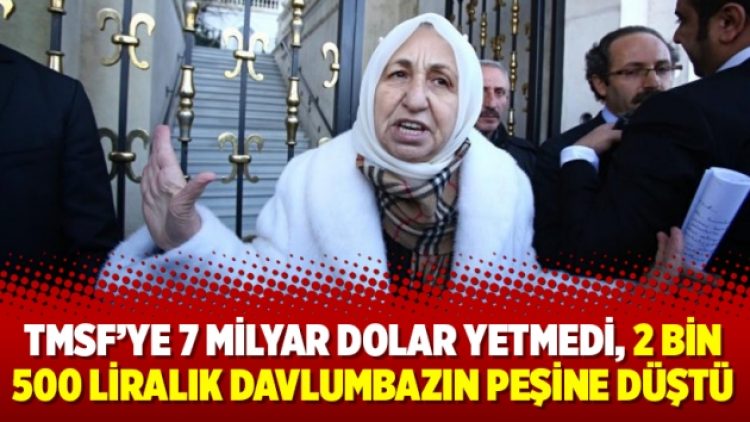 TMSF’ye 7 milyar dolar yetmedi, 2 bin 500 liralık davlumbazın peşine düştü