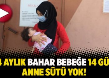 14 aylık Bahar bebeğe 14 gün anne sütü yok!