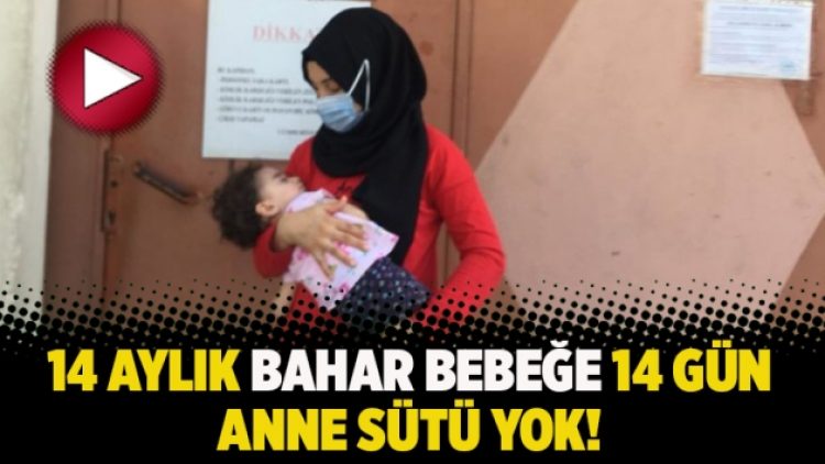 14 aylık Bahar bebeğe 14 gün anne sütü yok!