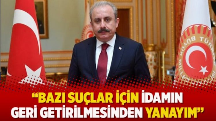 Mustafa Şentop: Bazı suçlar için idam geri getirilmelidir