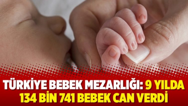 Türkiye bebek mezarlığı: 9 yılda 134 bin 741 bebek can verdi
