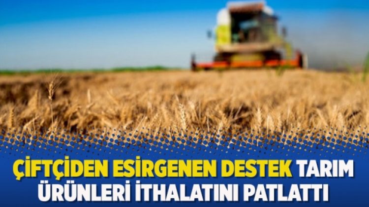 Çiftçiden esirgenen destek tarım ürünleri ithalatını patlattı