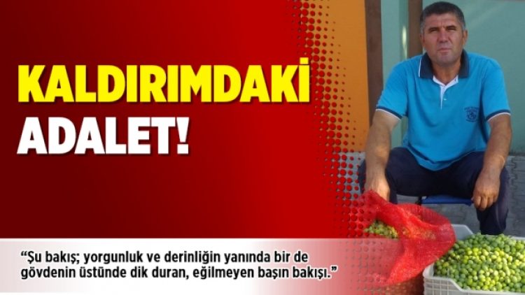 Kaldırımdaki adalet!