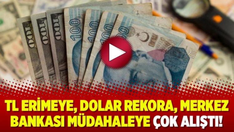 TL erimeye, dolar rekora, Merkez Bankası müdahaleye çok alıştı!