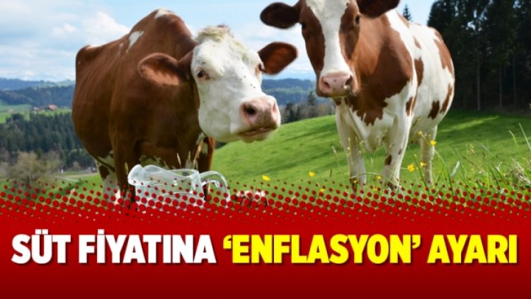 Süt fiyatına ‘enflasyon’ ayarı