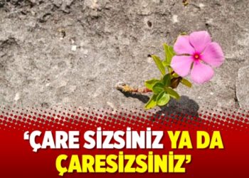 ‘Çare sizsiniz ya da çaresizsiniz’