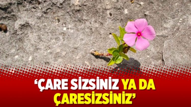 ‘Çare sizsiniz ya da çaresizsiniz’