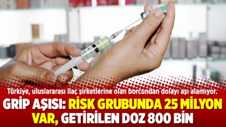Grip aşısı: Risk grubunda 25 milyon var, getirilen doz 800 bin