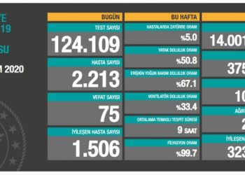 31 Ekim tablosu: 2 bin 213 yeni hasta, 75 vefat