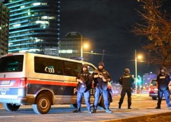 Viyana istihbarat şefi görevden alındı