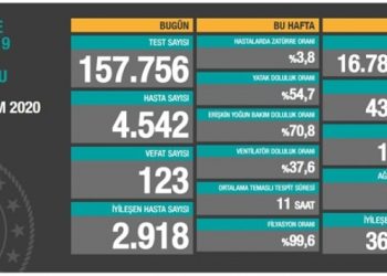 19 Kasım tablosu: 4 bin 542 yeni hasta, 123 vefat