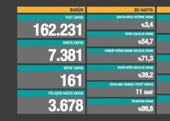 24 Kasım tablosu: 7 bin 381 yeni hasta, 161 vefat