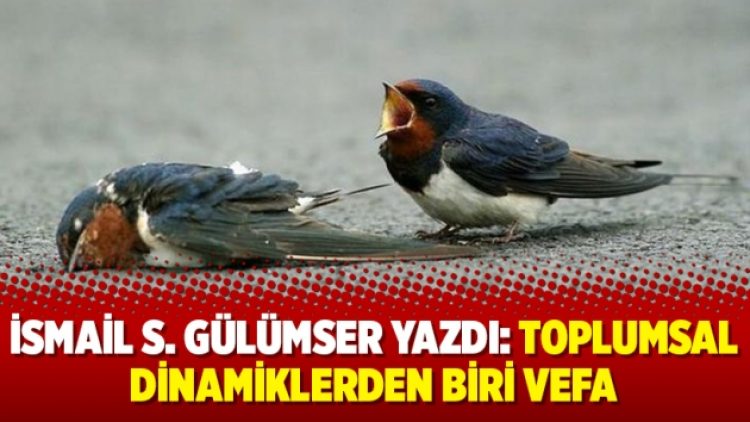 İsmail S. Gülümser yazdı: Toplumsal dinamiklerden biri vefa