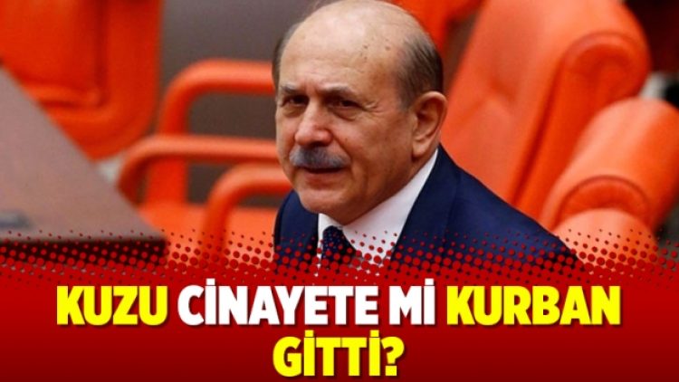 Kuzu cinayete mi kurban gitti?