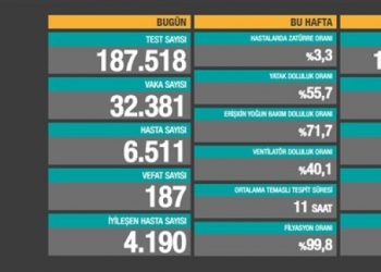 3 Aralık tablosu: 32 bin 381 yeni vaka, 187 vefat