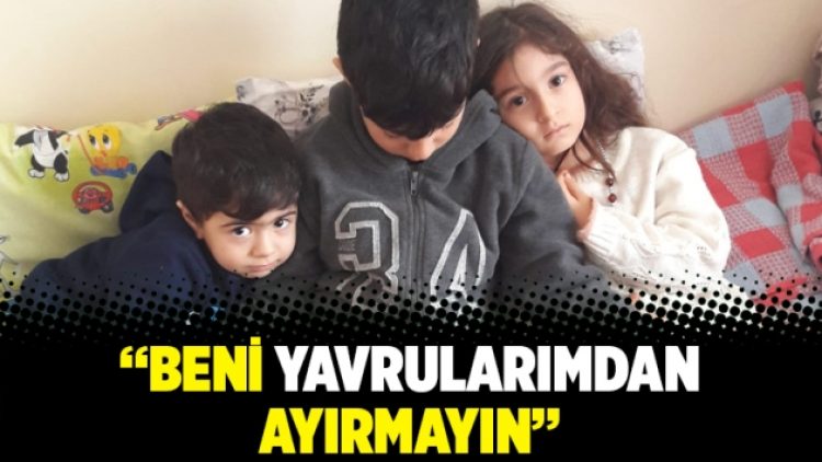 “Beni yavrularımdan ayırmayın”
