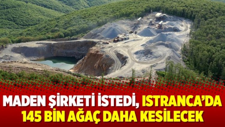 Maden şirketi istedi, Istranca’da 145 bin ağaç daha kesilecek