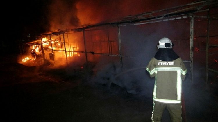 Bursa Atatürk Kent Ormanı’nda yangın: 10 at hayatını kaybetti