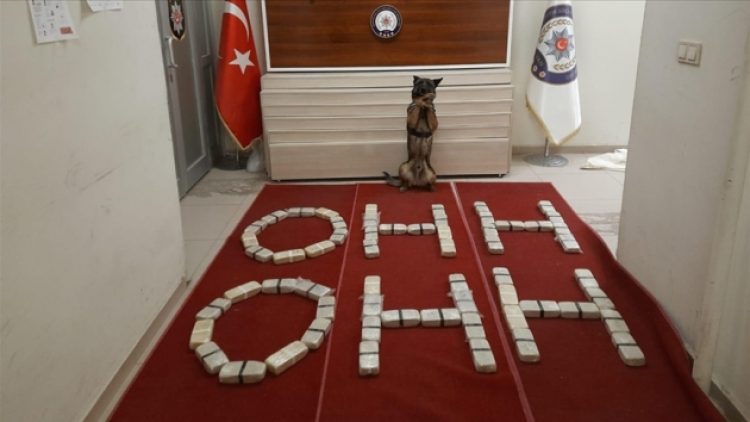 Bakan Soylu’nun TBMM’teki ‘ohh ohh’ sözlerini polisler eroinle yazdı
