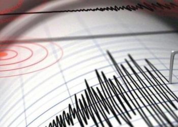 Muğla ve Van’da peş peşe depremler