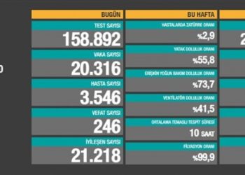 20 Aralık tablosu: 20 bin 316 yeni vaka, 246 vefat