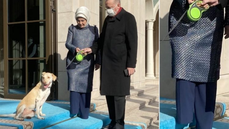 Photoshop fazla kaçınca Emine Erdoğan’ın ayakları ‘uçtu’