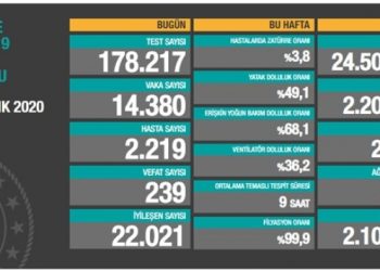 31 Aralık tablosu: 14 bin 380 yeni vaka, 239 vefat