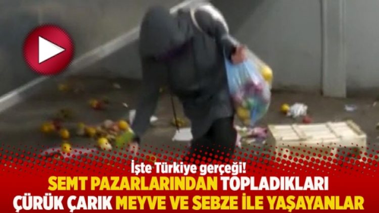 Semt pazarlarından topladıkları çürük çarık meyve ve sebze ile yaşayanlar