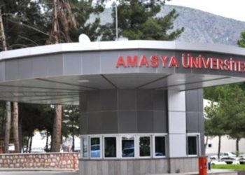 Akademide liyakat, bir kez daha yara aldı