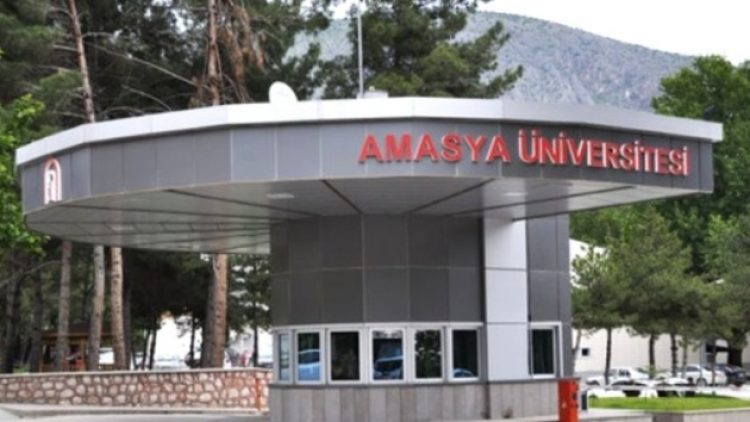 Akademide liyakat, bir kez daha yara aldı