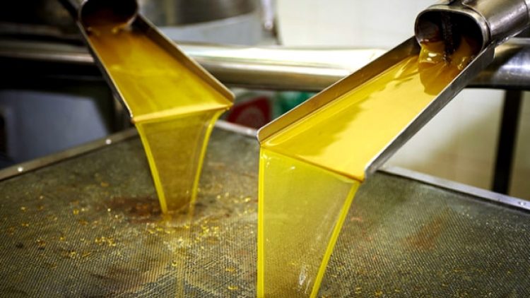 Ayçiçek yağlarına gelen zamların arkasında kim var?