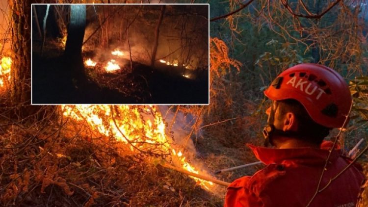 Doğu Karadeniz yanıyor: Dört ilde 23 noktada yangın