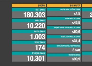 11 Ocak tablosu: 10 bin 220 yeni vaka, 174 vefat