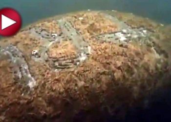 Trump’ın adını sırtına kazıdılar!