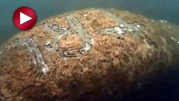 Trump’ın adını sırtına kazıdılar!