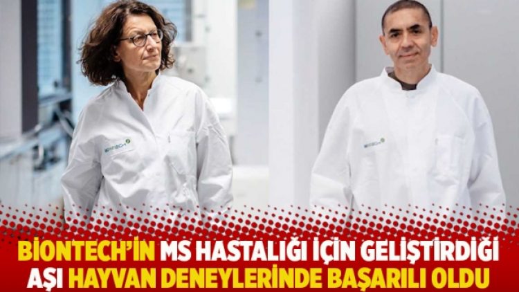 BioNTech’in MS hastalığı için geliştirdiği aşı hayvan deneylerinde başarılı oldu