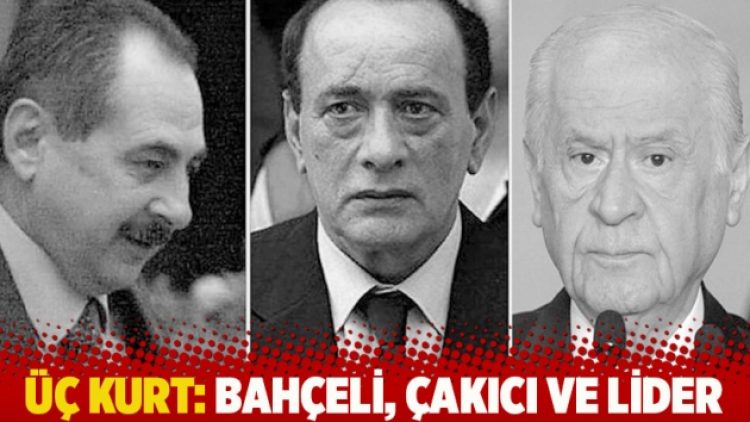 Üç kurt: Bahçeli, Çakıcı ve lider