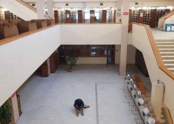 Boğaziçi Kütüphanesi’nde oturma eylemine başladı
