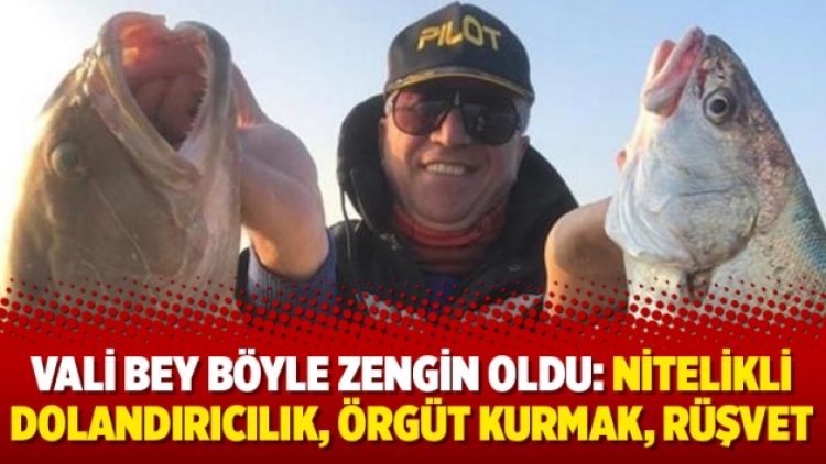 Vali Bey böyle zengin oldu: Nitelikli dolandırıcılık, örgüt kurmak, rüşvet