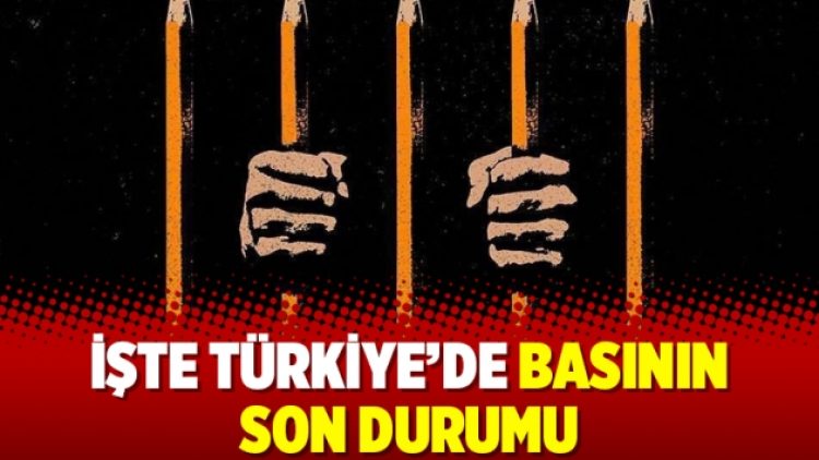 İşte Türkiye’de basının son durumu