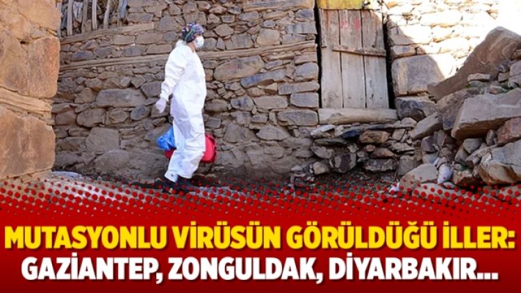 Mutasyonlu virüsün görüldüğü iller: Gaziantep, Zonguldak, Diyarbakır…