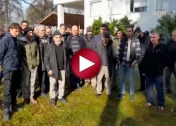 AKP’li eski danışman 63 işçiyi Sırbistan’da yüzüstü bıraktı