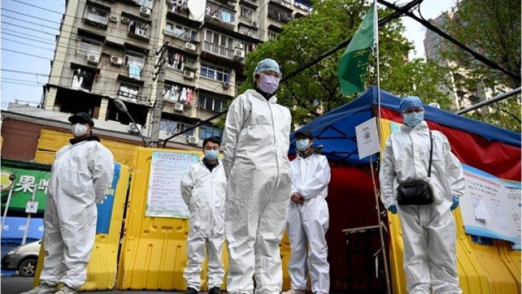 DSÖ uzmanları Wuhan hayvan pazarında