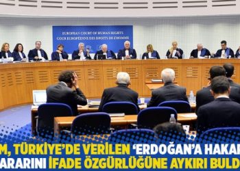 AİHM, Türkiye’de verilen ‘Erdoğan’a hakaret’ kararını ifade özgürlüğüne aykırı buldu