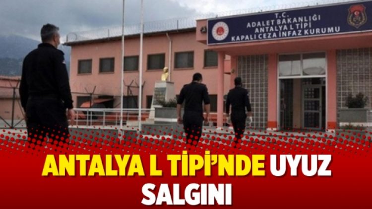 Antalya L Tipi’nde uyuz salgını