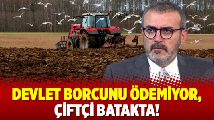 Devlet borcunu ödemiyor, çiftçi batakta!