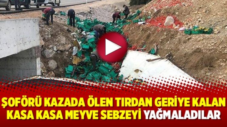 Şoförü kazada ölen tırdan geriye kalan kasa kasa meyve sebzeyi yağmaladılar
