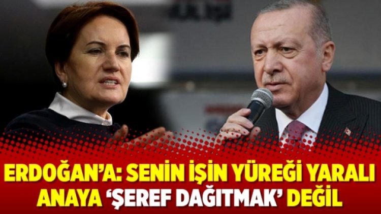Erdoğan’a: Senin işin yüreği yaralı anaya ‘şeref dağıtmak’ değil